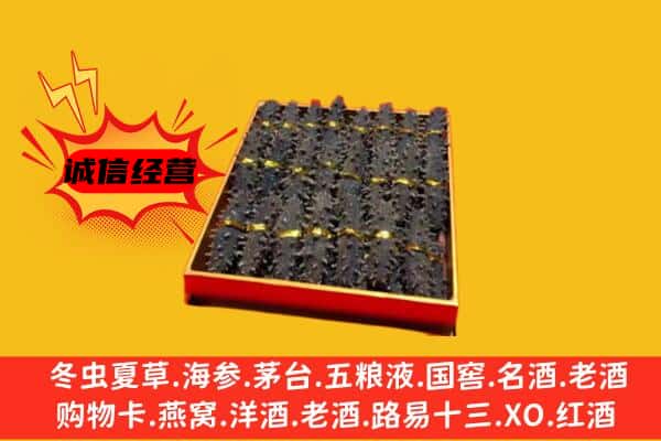 点军区回收海参